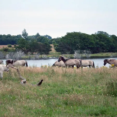 Geltinger Birk Casa de Férias