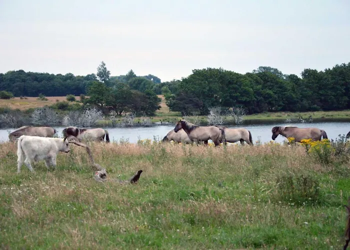 Geltinger Birk Сasa de vacaciones